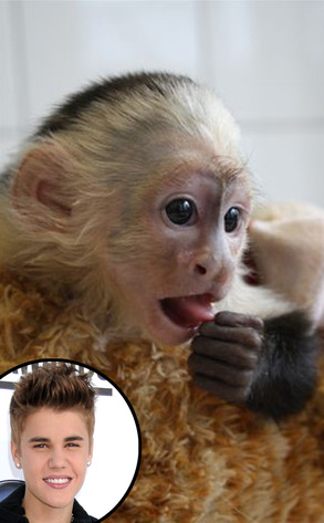 Justin Bieber, Mally, Monkey Justin Bieber, Mally, Monkey